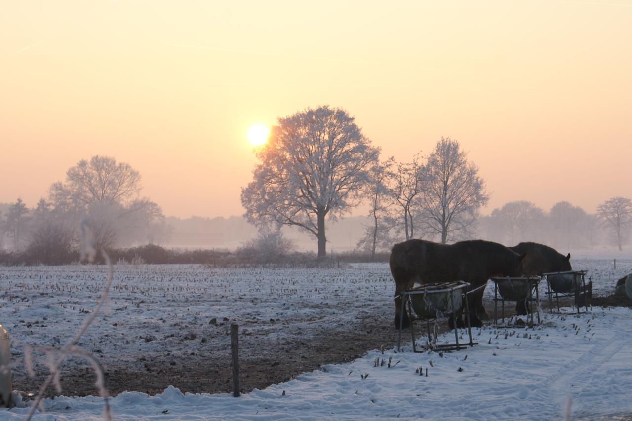 Boutique Hotel Huize Rustoord Esbeek Bagian luar foto